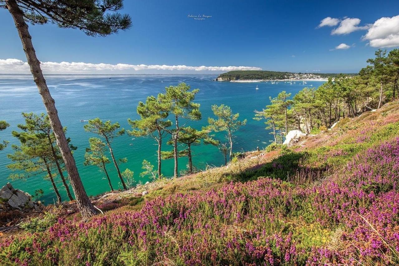 Appartement Cosy Les Pieds Dans L'Eau, Vue Mer Exceptionnelle Κροζόν Εξωτερικό φωτογραφία